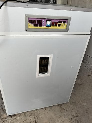 Аренда оборудования: 1500 яиц, Полностью автоматическая — 5