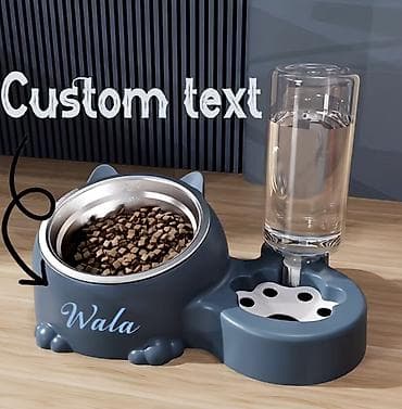 yem satışı: Şəxsi ad yazılı pişik yem və su qabı seti Ev pişikləri üçün gündəlik — 1