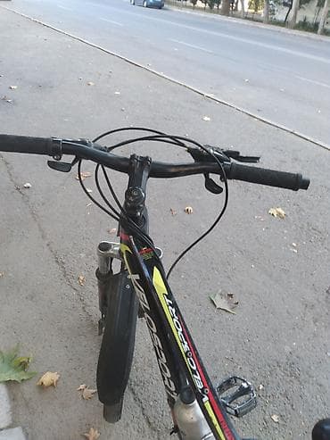 velo disk: Velosiped – VELOSPORT dağ tipli - Çərçivə: yüngül alaşımlı, idman — 4