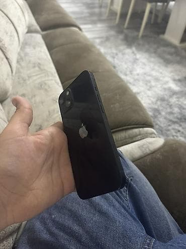 IPhone 13, Qara