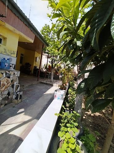 Баил 7 комнат, 160 м², Свежий ремонт — 2