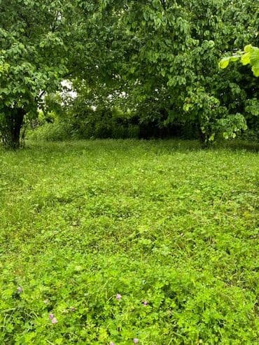 ələt torpaq: 14 sot, Biznes üçün, Mülkiyyətçi, Kupça (Çıxarış) — 1