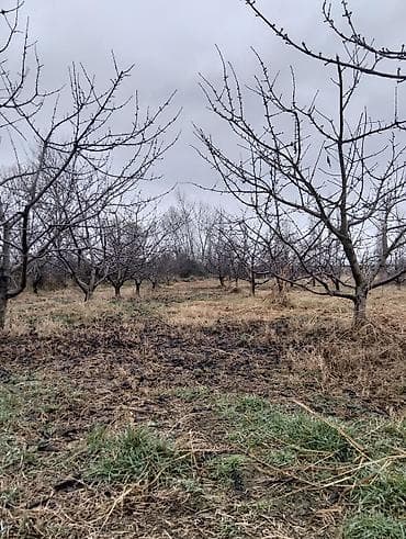 Torpaq sahələrinin satışı: 45 sot, Tikinti, Mülkiyyətçi, Kupça (Çıxarış), Texniki pasport — 10