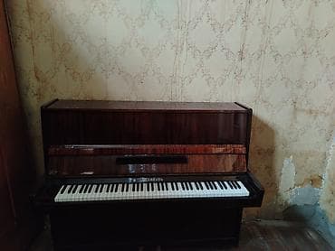 ucuz gitara satisi: Normal vezyetde — 1