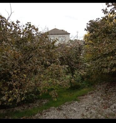 квартиры баку аренда: Хачмаз, 3 комнаты, Вторичка, 6 м² — 11