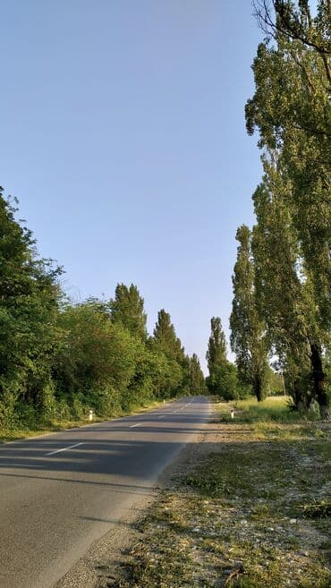 həzi aslanovda kirayə evlər: QUSAR HƏYƏT EVİ | Günlük & Aylıq KİRAYƏ🏡 ~Geniş rahatlığa və — 14