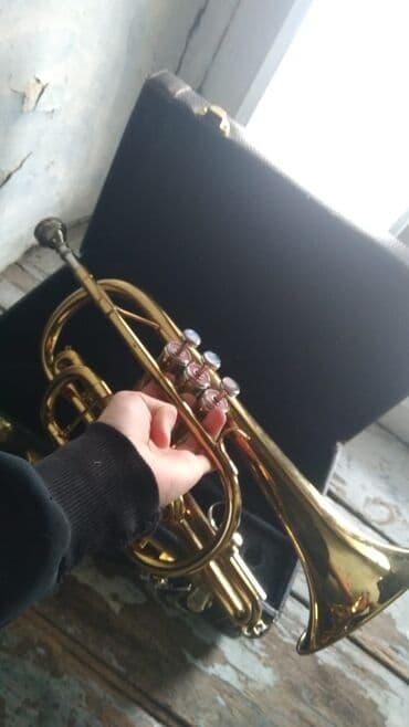 zeynep bastık baku: Arginaldi qiymet 1600 — 1