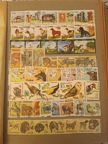 velosiped markalari: Марки цену предлагать в ватсапп — 7