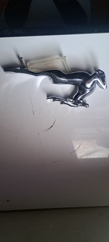 Qadın ayaqqabıları: Orjinal ceyran. ünvandan götürmə — 3