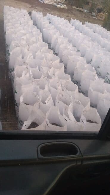 yonca toxum: Torflarin satişi balaken ekolay kkokavit 250litrlik xaricden gelen — 8