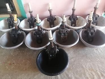 heyvan döşəyi: Məhsul: Avtomatik su içmə kasası (ferma üçün) Təyinat: İri və — 3