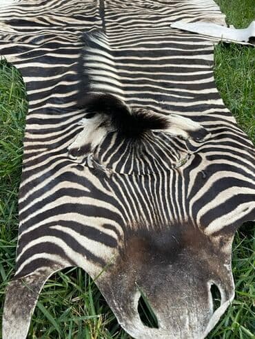 oval xalca: Xalça Dekorativ, Kredit yoxdur — 1