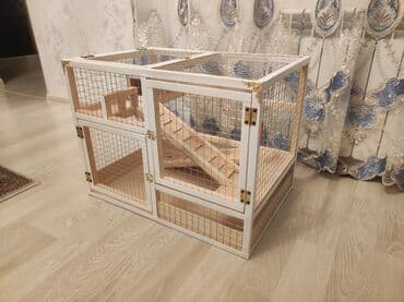 ag dovsan: Dovşan,hamster,dağ — 3