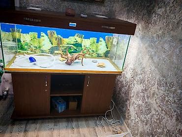 akvarium balik: Akvaryum və şkaf dəsti(130x50x50) Şüşə 10-luqdur, şkafın qapağıda var — 3