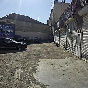 Toyota–Lexus Badamdar — Toyota və Lexus markaları üzrə ixtisaslaşmış