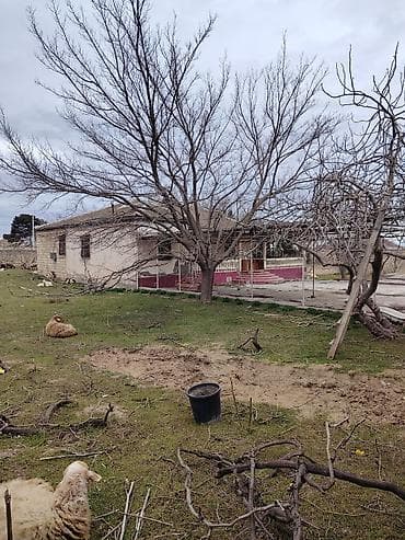 Дома: 22 соток, Для строительства, Риэлтор, Купчая — 10