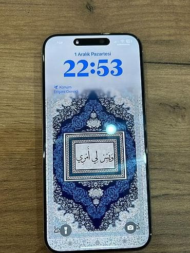 iphone 13 case: IPhone 15 Pro Max, 256 GB, Gümüşü, Face ID — 3