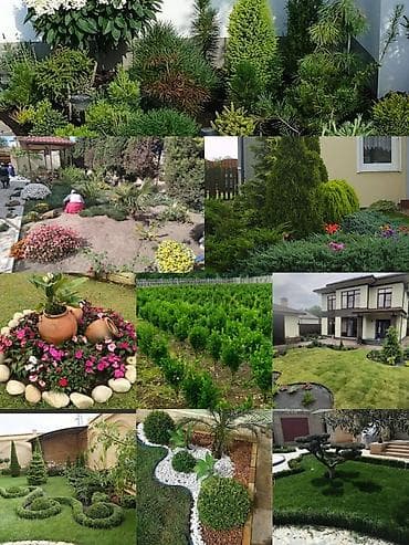 Avto xidmətlər: Pejaj və landşaft dizaynı xidməti - Həyət, bağ və villalar üçün — 9