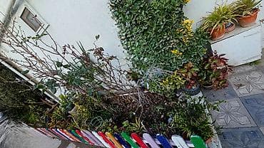 metroya yaxin satilan evler: Keşlə qəs. 5 otaqlı, 120 kv. m, Yeni təmirli — 8