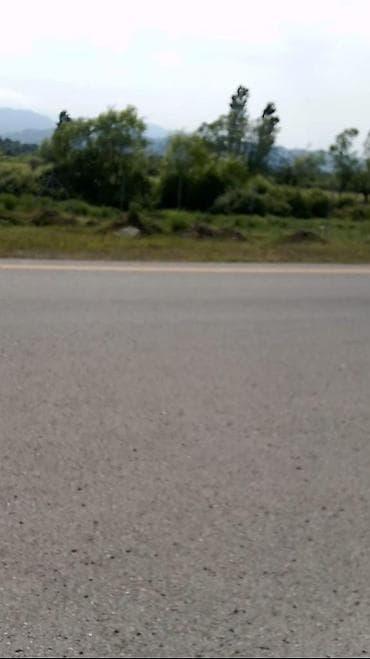 bilgehde torpaqlarin satisi: 10 sot — 3