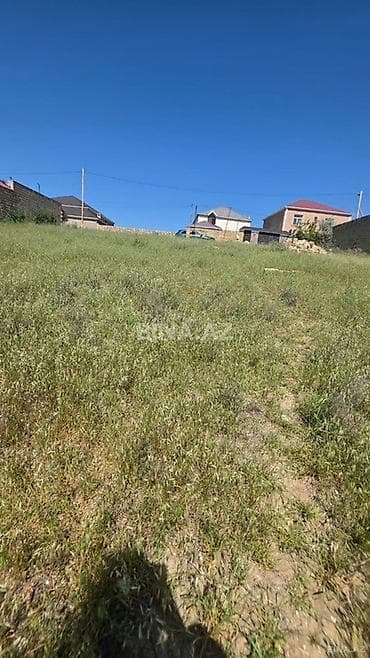 шеки: 5 соток, Купчая — 1