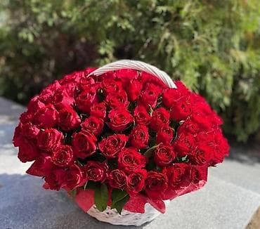ucuz gullər: 101 Roza🌹120₼ 60 sant - Qırmızı qızılgül buketi: sıx və həcimli — 8