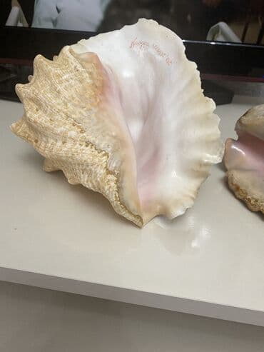 qedim saatlar: Əntiq saatlar — 6