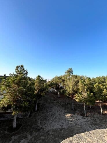 Аренда участков: 24 соток, Собственник, Купчая — 2