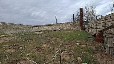 fatmeyide torpaq: Tikinti — 3