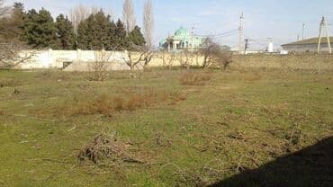 ev masazir: 24 sot, Makler, Kupça (Çıxarış) — 1