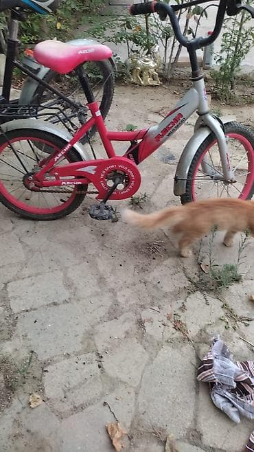 cube velo: Uşaq velosipedi 20lik və 16liq tək 40 manat - Tək sürətli, zəncir — 2