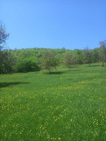 qobuda torpag: 4 sot, Tikinti, Maklerlər narahat etməsin, Kupça (Çıxarış) — 5