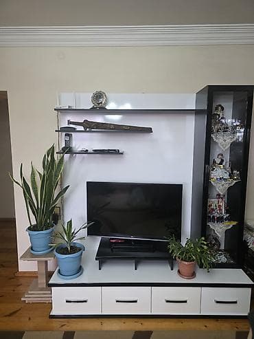 TV stend