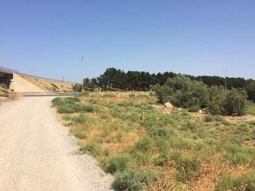 binə qəsəbəsi: 45 sot, Tikinti, Makler, Kupça (Çıxarış) — 6