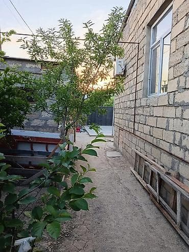 ev: 3 otaqlı, 100 kv. m, Orta təmir — 4