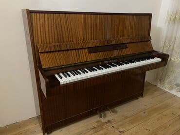 Zərb alətləri: Piano, Belarus, Akustik, İşlənmiş, Ünvandan götürmə — 4