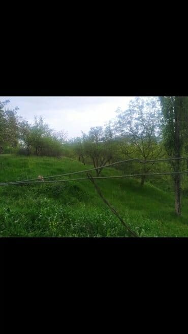 torpaq lokbatan: Yaşıl otlar və müxtəlif ağaclarla örtülmüş, yamaclı ərazidə yerləşən — 2