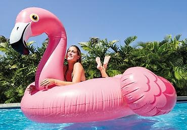 rezin baseyn: 🦩 Intex Flamingo – Premium Şişmə Hovuz Yatağı (178x135 sm) Yayın — 2