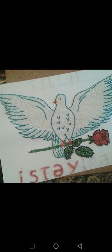 Ev və bağ: Bəzi rəsimlər əlimdə yoxdu isdəyən olsa yenidən işləyə bilərəm — 8