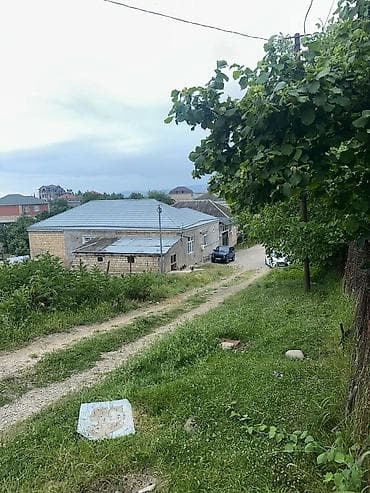 İçkilər: Salam Quba rayonunda Dağlı kəndinde 'Qırmızı qesebe' -nin üst — 3