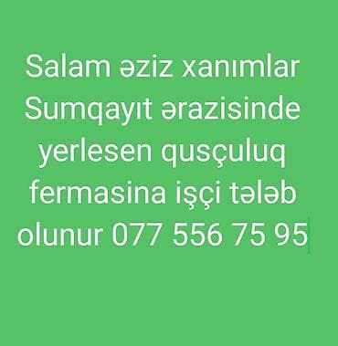 Ev köməkçiləri: Ev köməkçisi tələb olunur, Növbəli qrafik — 1