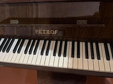 dynacord 2: PETROF akustik pianino – klassik upright model - Brend: PETROF (Çex — 1