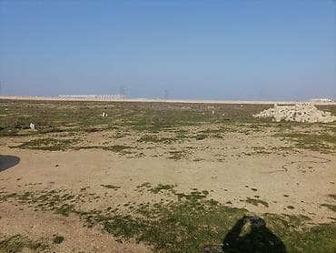 torpaa: 3 sot, Kənd təsərrüfatı, Mülkiyyətçi, Kupça (Çıxarış) — 9