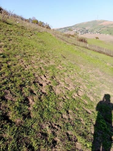 земельный участок в деревне: 29 соток, Для строительства, Собственник, Купчая — 2