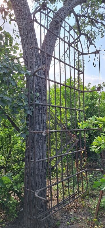 купить чехлы на авто: Ford Tranzit, Ünvandan götürmə — 7