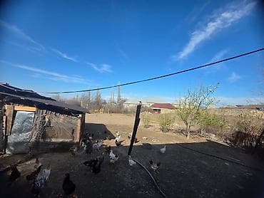 ag seher evler: 18 kv. m, 5 otaqlı, Qaz — 7