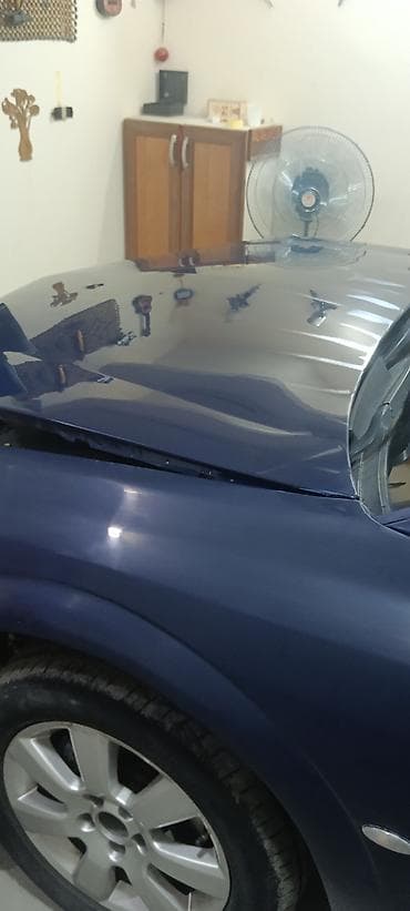 bmw mini cooper: Afdomobldeki çiçəklərin bezkirasqa işlərinin görülməsi və polrofqa — 1