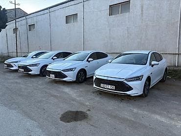 changan eado: Model: BYD qin plus modelleri arendaya verilir.Taksi buraxilish — 3