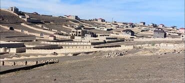 6 sot, Tikinti, Mülkiyyətçi, Kupça (Çıxarış)