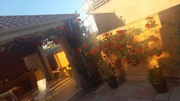 qaracuxurda ev: 100 kv. m, 3 otaqlı — 9